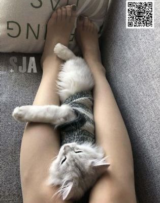 欧美音乐下载收藏_DVD免费观看